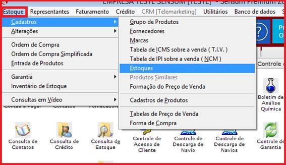 Como cadastrar um novo estoque. Figura 2, Estoque.