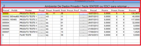Como gerar relatório de produtos contendo itens como NCM, IPI e exportar para o Excel. Figura 5, Ambiente de dados privado.