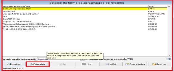 Como gerar relatório de produtos contendo itens como NCM, IPI e exportar para o Excel. Figura 9, Selecionar a forma do relatório.