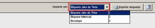 Como funciona o envio de mala direta. Figura 10. Formatos de impressão de etiquetas.
